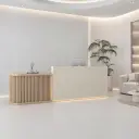 Curved Reception Counters For Stores & Offices thumbnail 2