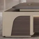 Elegant Executive Desk in Contemporary Design thumbnail 9