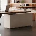 Premium Electric Height Adjustable Desk – Light Luxury Office Desk with Advanced Lift System thumbnail 10