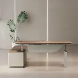 Quiet Electric Lift Desk for President and Manager Office thumbnail 3