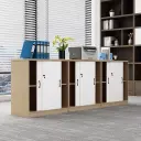 Clerk Office Multi-Unit Locked File Cabinet - Maoters thumbnail 2