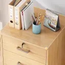 Executive Office Mobile File Cabinet - Maoters thumbnail 11