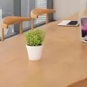 Office Space Rounded Wood Table - Maoters thumbnail 9