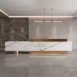Sleek Luxury Business Reception Desk - Maoters thumbnail 1