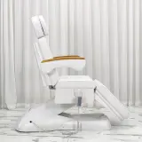 Multi-Purpose Electric Massage Table for Salon, Tattoo & Spa thumbnail 4