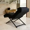 Brand new luxury S-Shaped Beauty Bed thumbnail 3