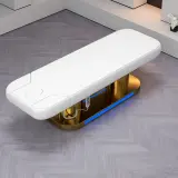 Electric Gold Stainless Steel Bed for Massage & Tattoo thumbnail 4