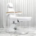 Multi-Purpose Electric Massage Table for Salon, Tattoo & Spa thumbnail 3