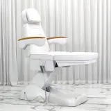 Multi-Purpose Electric Massage Table for Salon, Tattoo & Spa thumbnail 3
