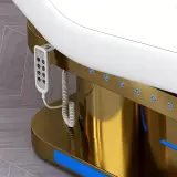 Electric Gold Stainless Steel Bed for Massage & Tattoo thumbnail 8