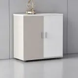 Low Filing Cabinet for Office Documents thumbnail 1