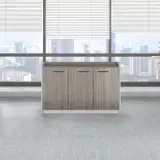 Lockable Low Office Partition Cabinet thumbnail 1