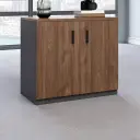 Low Office Cabinet for Files, Printer, and Storage thumbnail 1