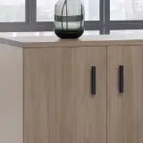 Low Office Cabinet for Files, Printer, and Storage thumbnail 19