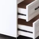Mobile Filing Cabinet with Printer Shelf thumbnail 9