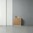 Low Wooden Office Cabinet for Documents thumbnail 1