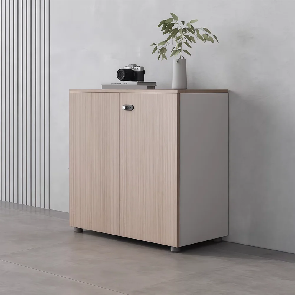 Modern Office Storage Cabinet with Password Lock