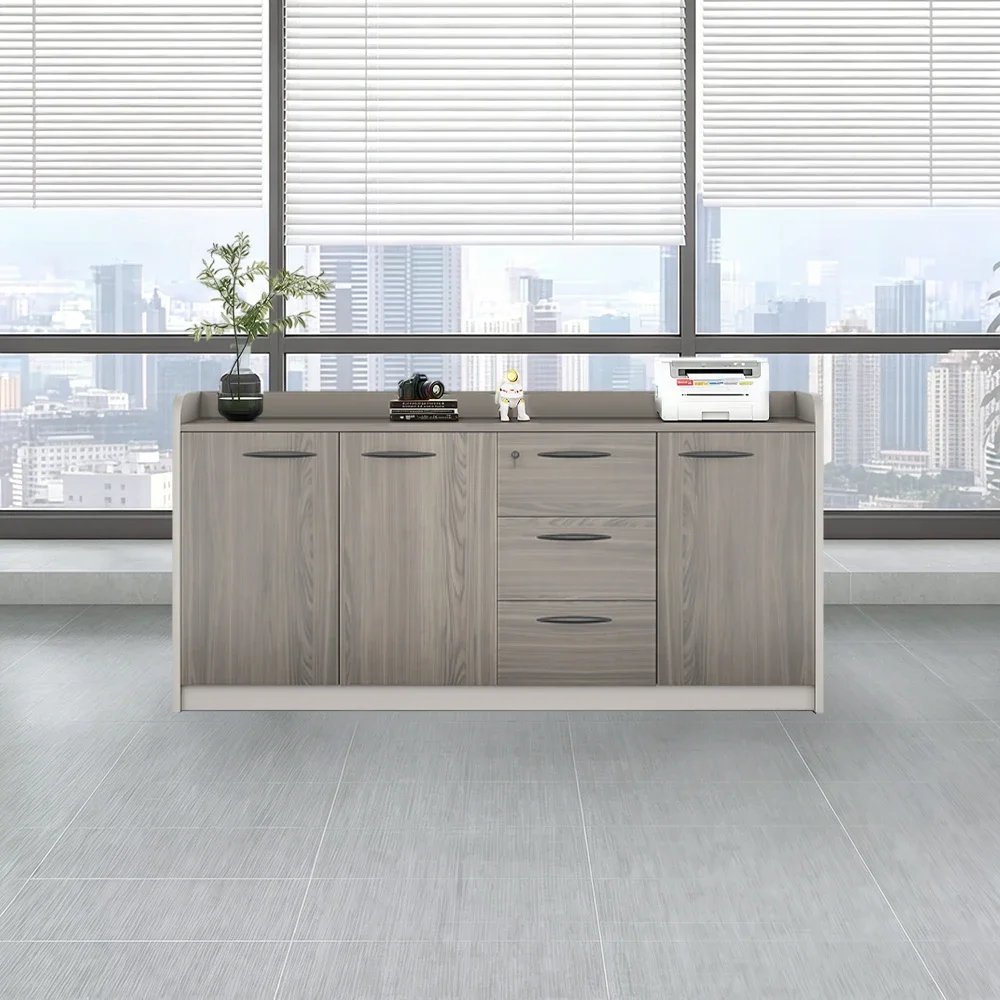 Lockable Low Office Partition Cabinet