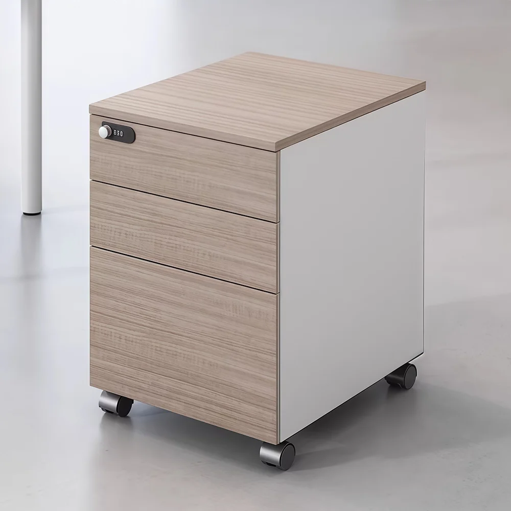 Corporate Office Multi-Storage File Cabinet - Maoters