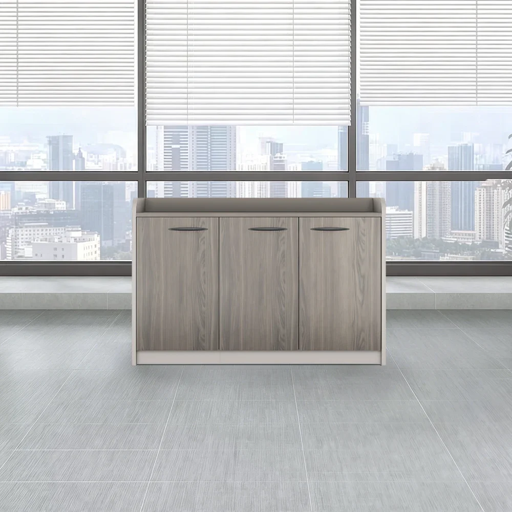 Lockable Low Office Partition Cabinet