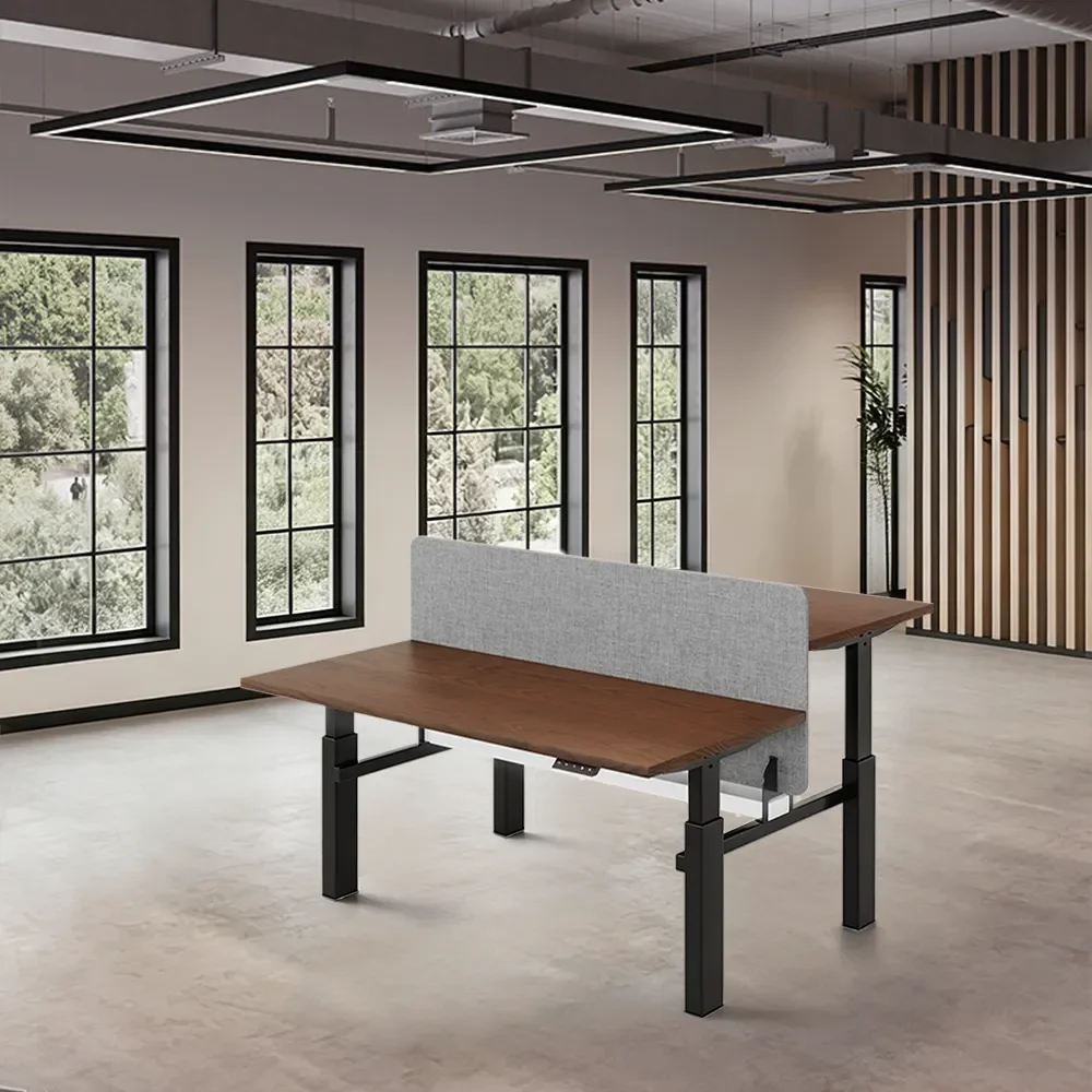 Electric Dual Desk with Privacy Panel