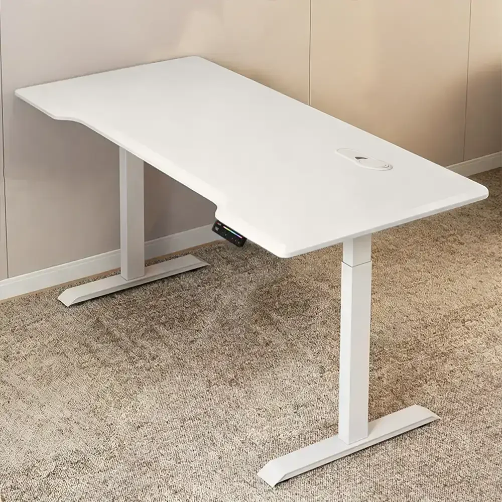 Electric Sit Stand Desk for Office, Learning & Writing