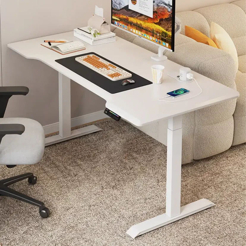 Electric Sit Stand Desk for Office, Learning & Writing