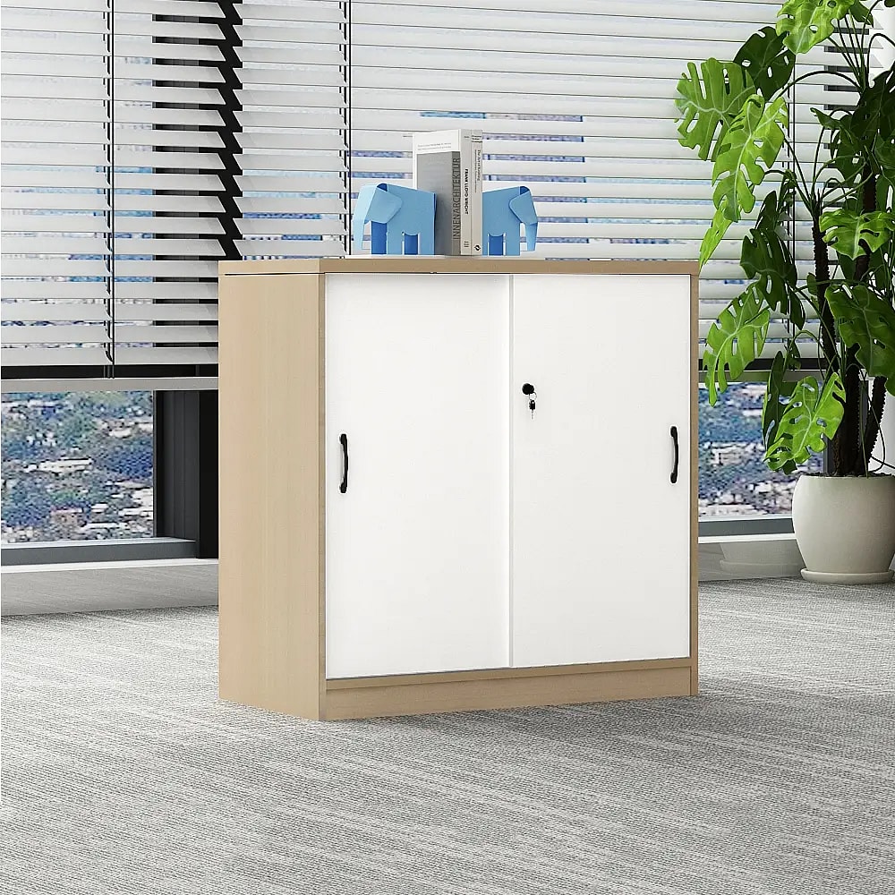 Clerk Office Multi-Unit Locked File Cabinet - Maoters