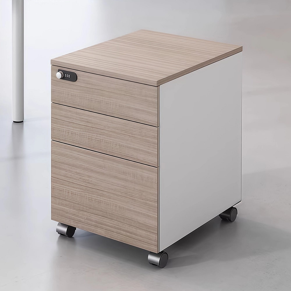 Corporate Office Multi-Storage File Cabinet - Maoters