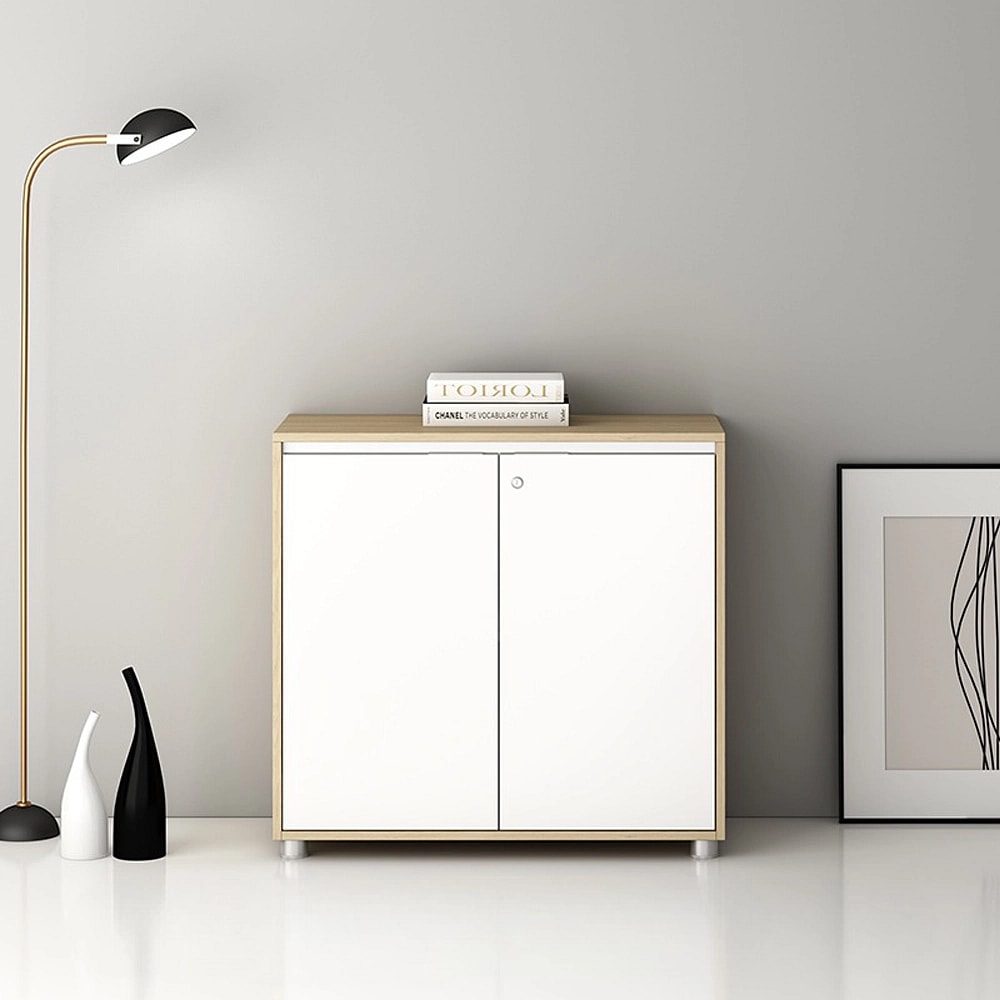 Minimalist Office Document Cabinet - Maoters