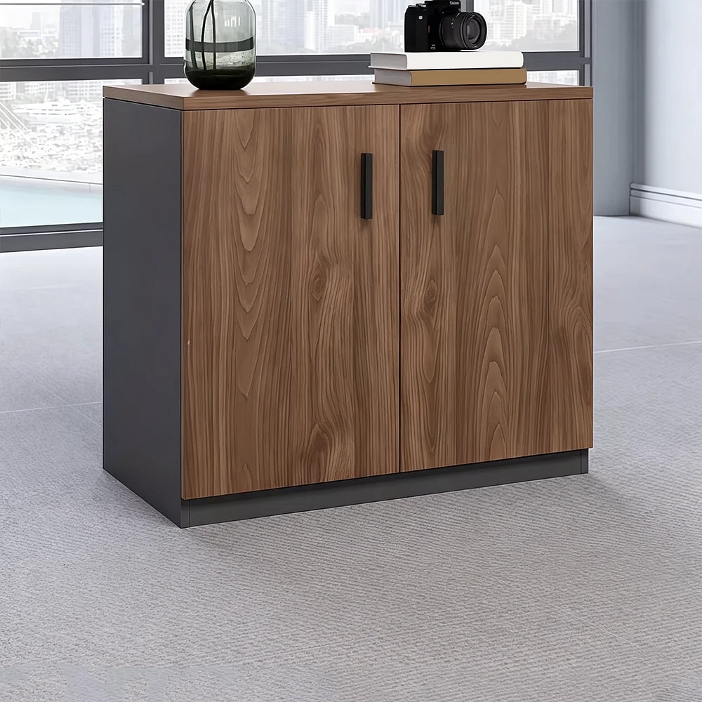 Low Office Cabinet for Files, Printer, and Storage