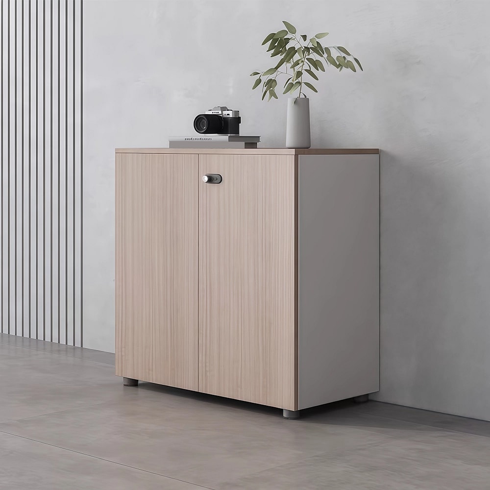 Modern Office Storage Cabinet with Password Lock