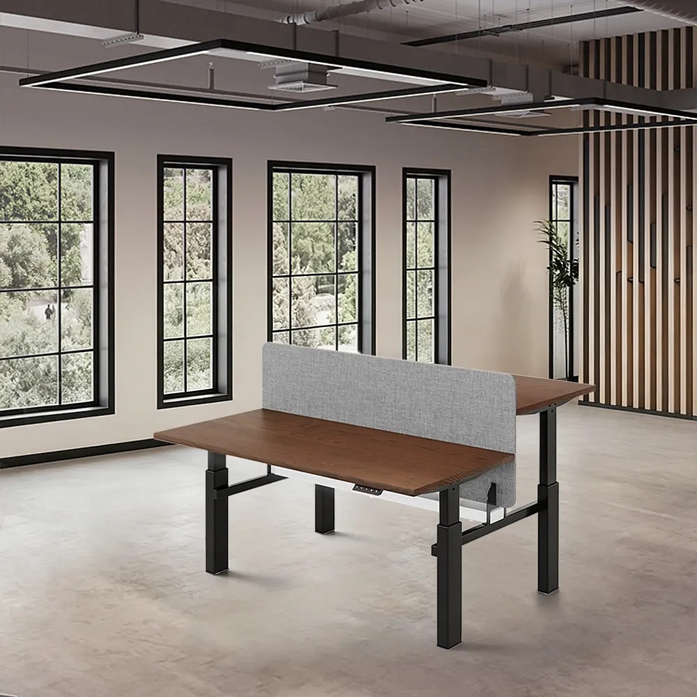 Electric Dual Desk with Privacy Panel