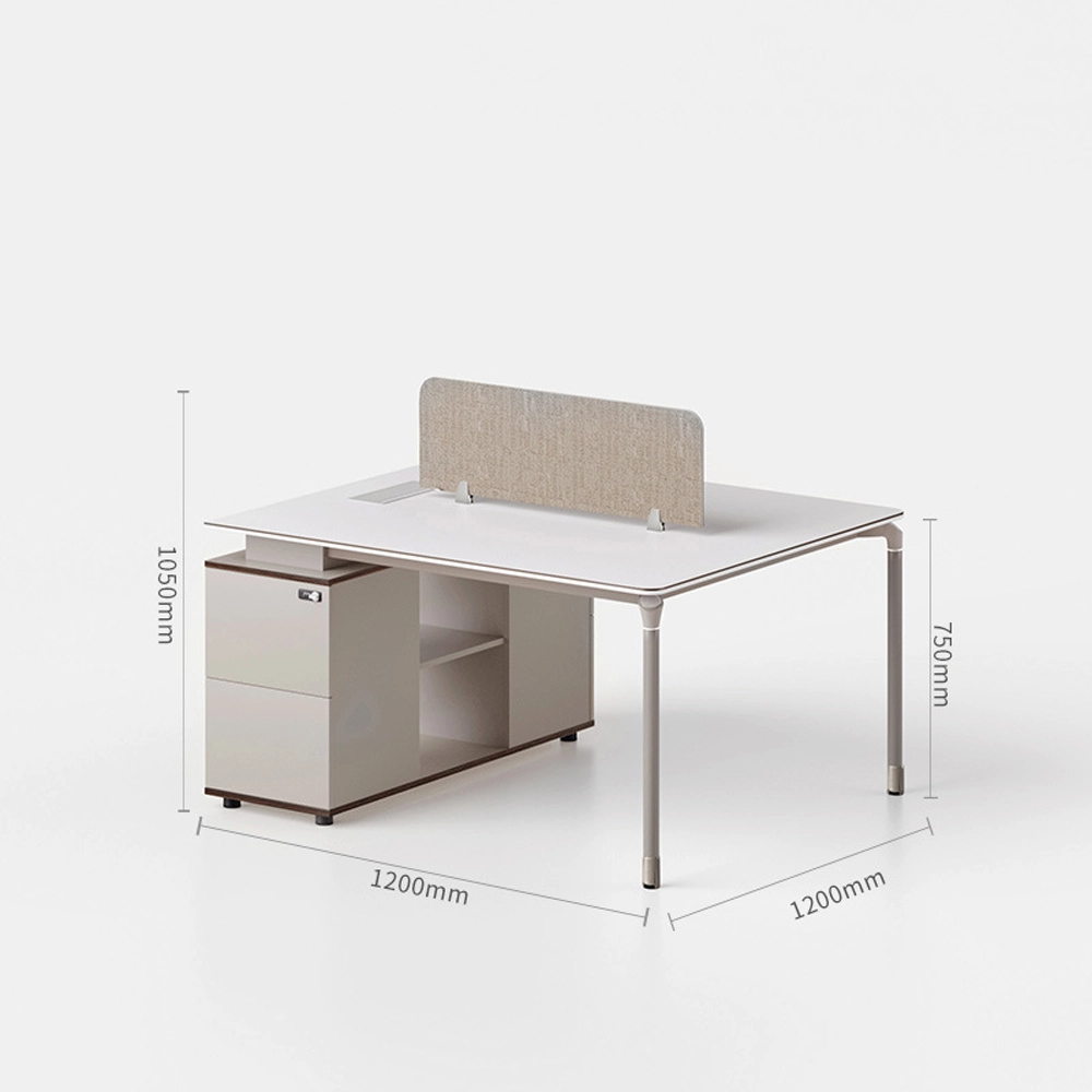 Modern Minimalist Staff Desk with Lock & Partition