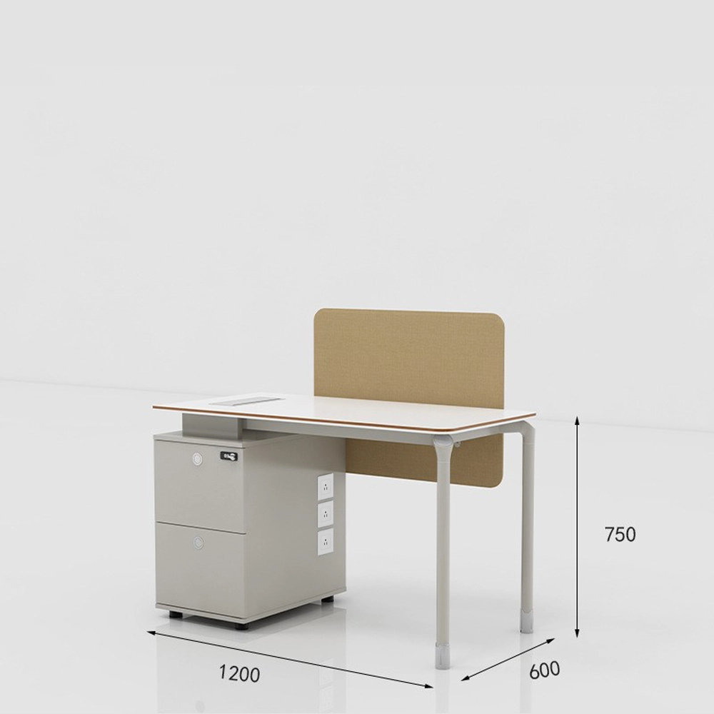 Simple Modern Desk with Storage - Maoters