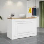 Small Reception Desk Minimalist Modern