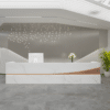 Modern Simple Reception Desk - Sleek Lacquer Finish