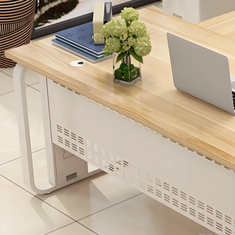 Minimalist Modern Solo Executive Office Desk - Maoters