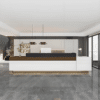 Multi-Use Reception Desks for Varied Businesses