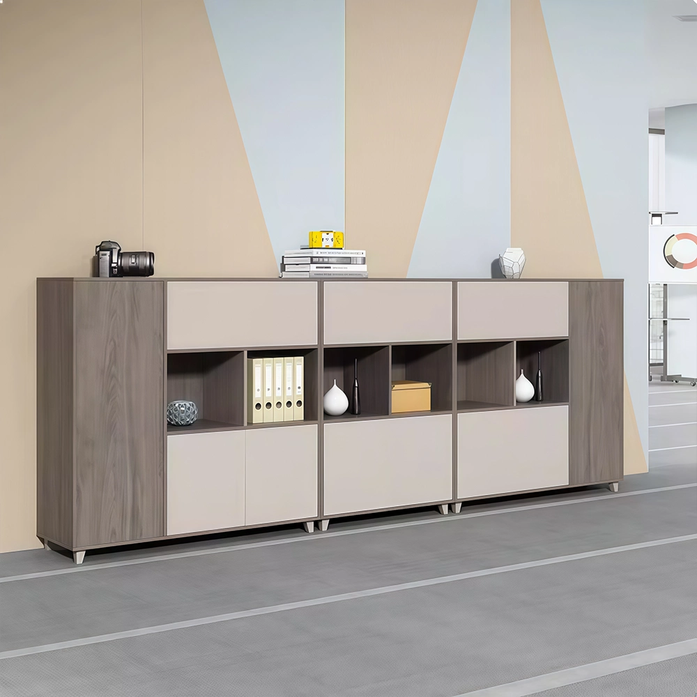 Elegant Wooden Panel Bookshelf & Office File Cabinet