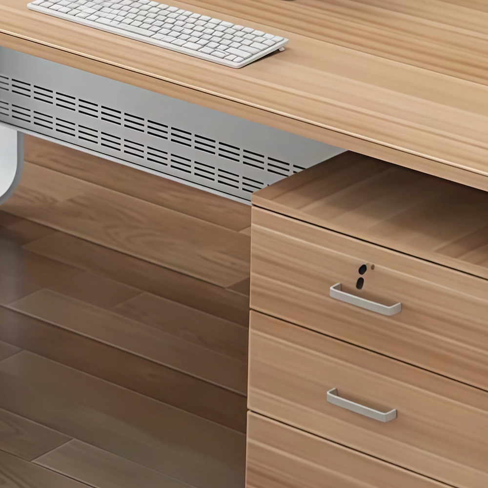 Minimalist Modern Solo Executive Office Desk - Maoters