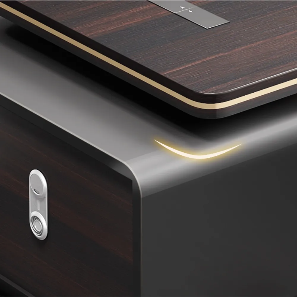 Executive Desks in Modern Minimalist Design