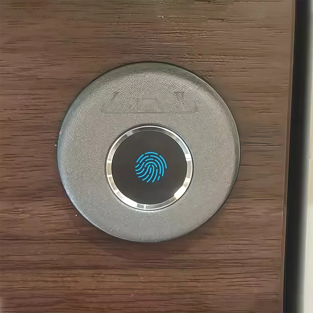 Modern Luxury Lacquered Executive Desk - Maoters