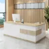 Modern Minimalist Reception Desk - White & Maple