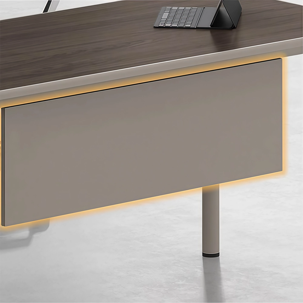 Modern Minimalist Single Executive Desk - Maoters