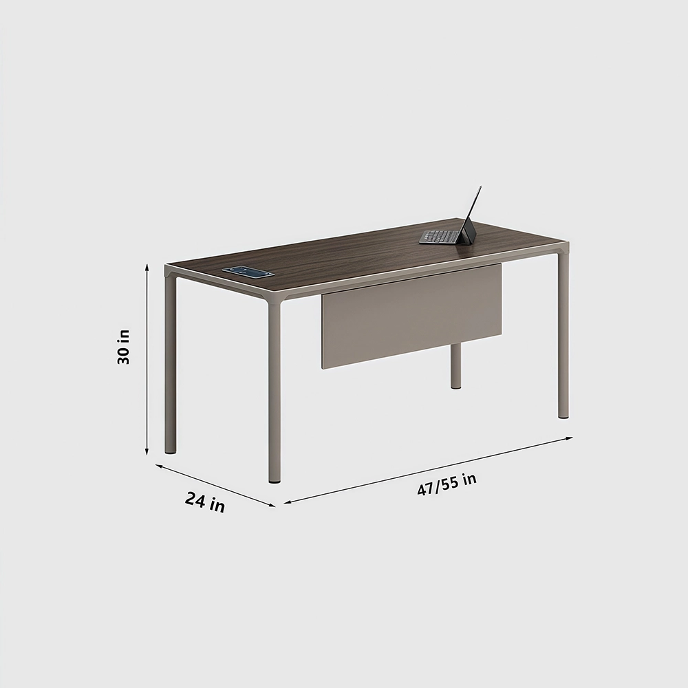 Modern Minimalist Single Executive Desk - Maoters
