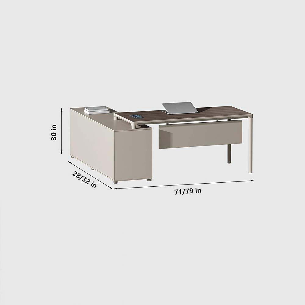 Modern Minimalist Single Executive Desk - Maoters