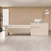 Multi-functional & Stylish Reception Desk - Maoters