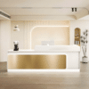 Multi-purpose Reception Desk - Maoters