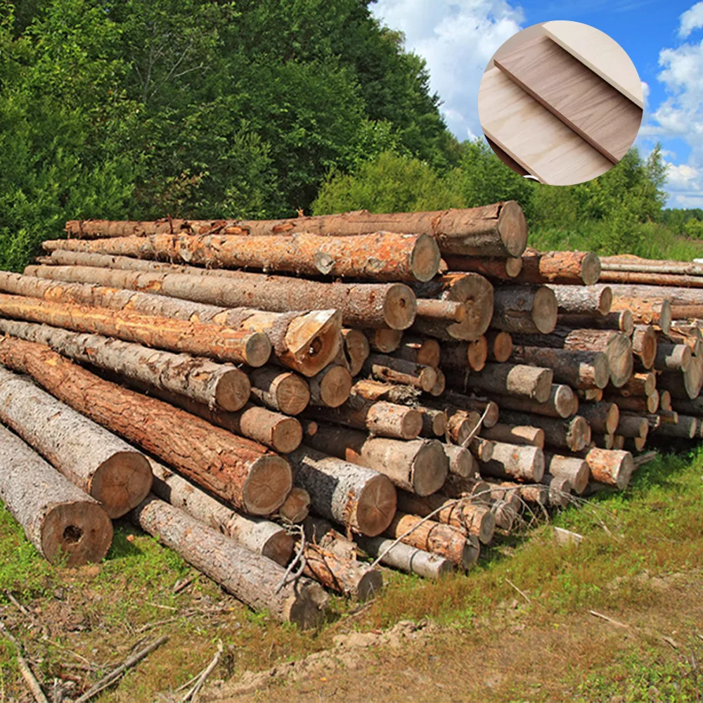Modern Long Conference Table - Simple Design